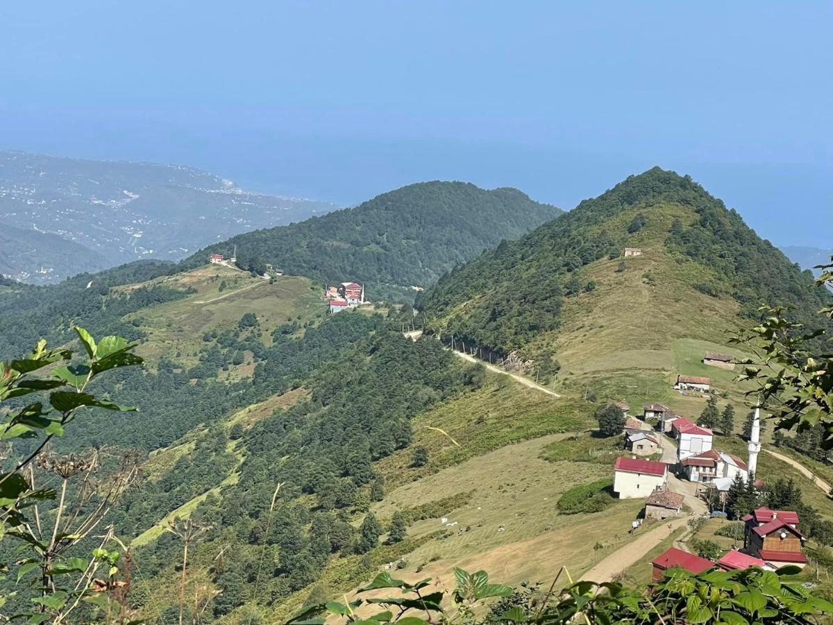 Apartment Avulot Mountain Trabzon
