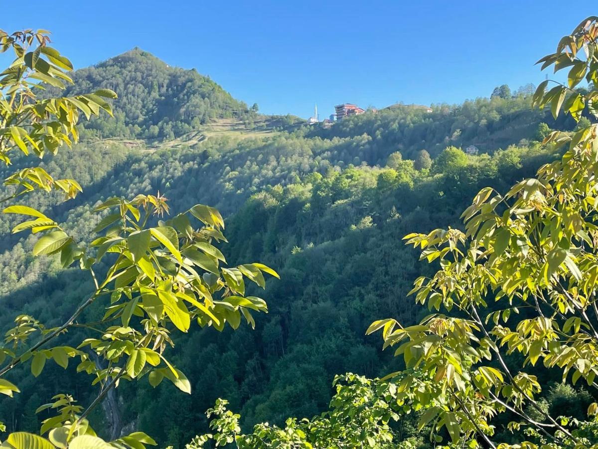 Avulot Mountain * Trabzon